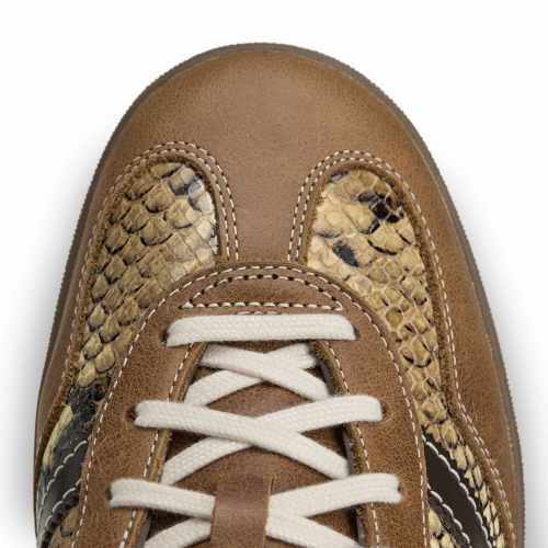 x Wales Bonner Gazelle Indoor Snakeskin Brown