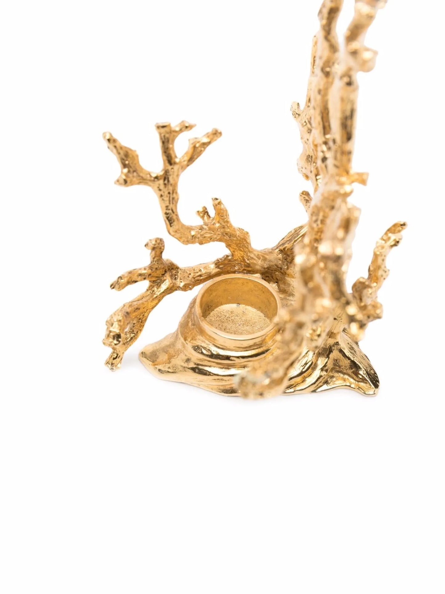 Coral Candle Holder