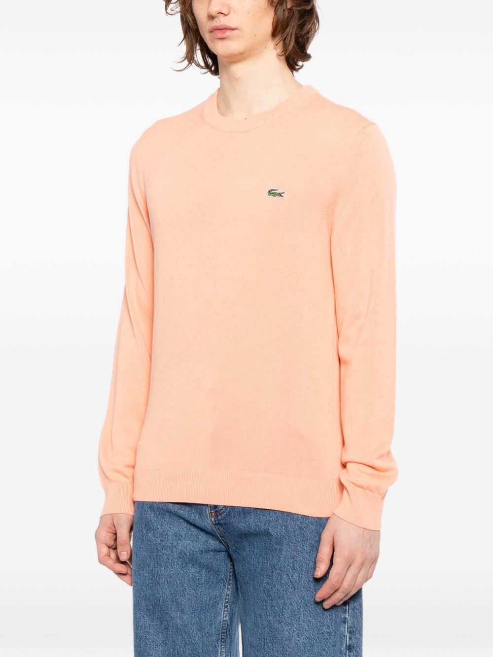 logo-patched  crew-neck sweater