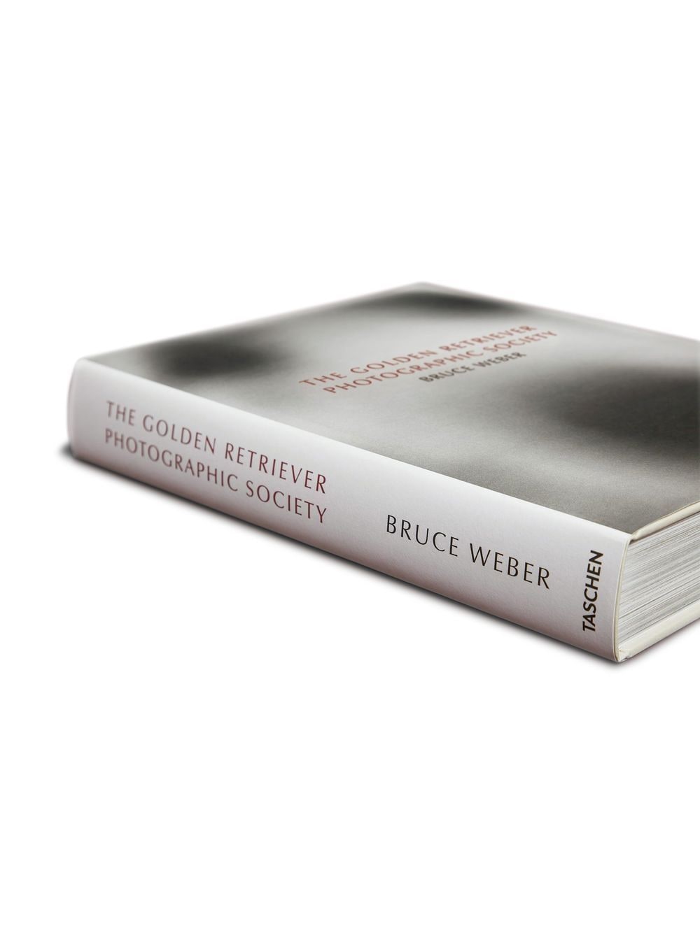 The Golden Retriever Photographic Society